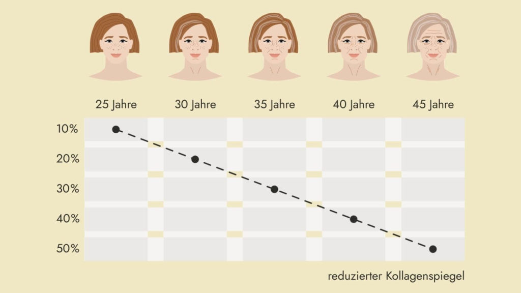Kollagenproduktion nach Alter