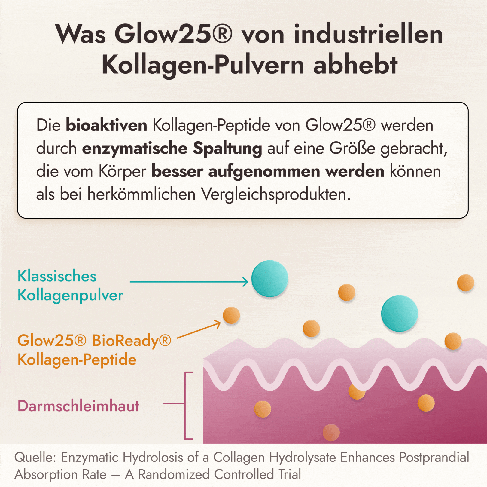 Dank der Glow25® Mikropeptid-Technologie™ wird das Kollagen besser aufgenommen.